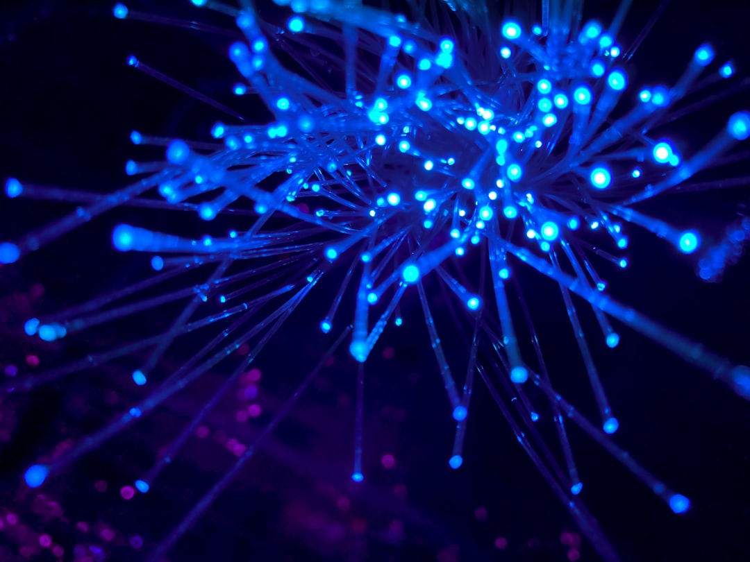 Photo Neural network