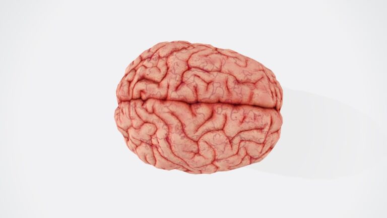 Neuromarketing internetowy w praktyce: skuteczne strategie reklamowe 1 Photo Brain scan
