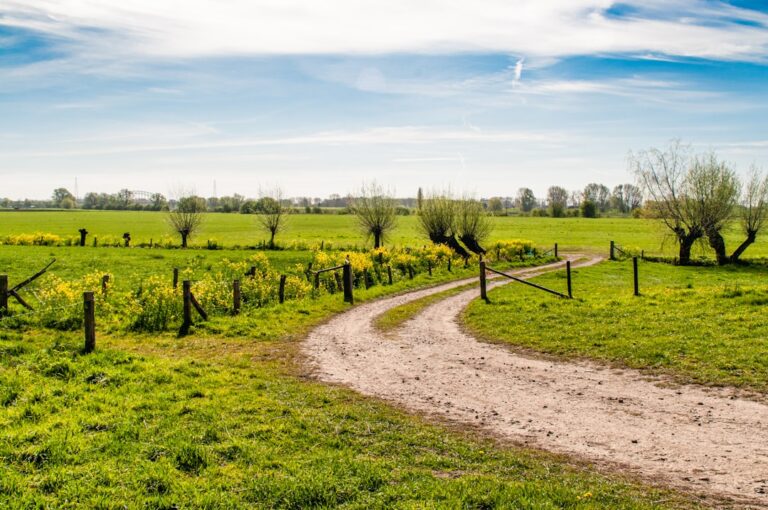 Photo user paths optimization